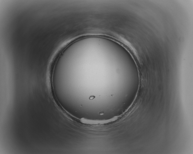 X0000102381464200808081127