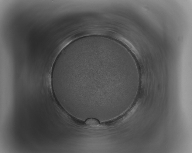 X0000102381465200808081127