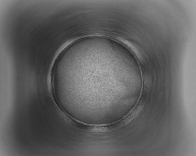 X0000102381466200808081127