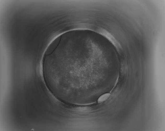X0000102381468200808081127