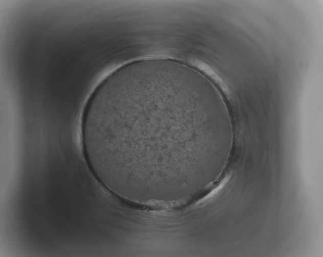 X0000102381469200808081127