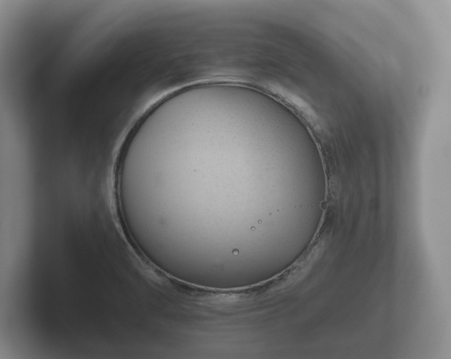 X0000102381470200808081127