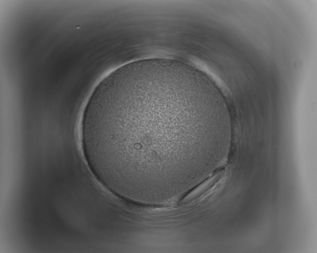 X0000102381471200808081127