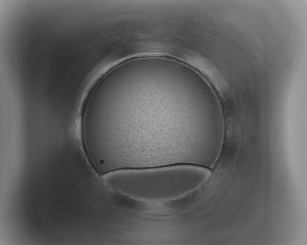 X0000102381472200808081127