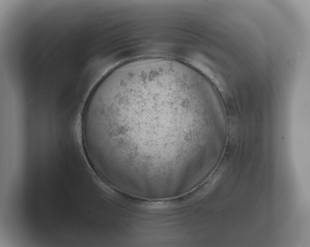 X0000102381474200808081127