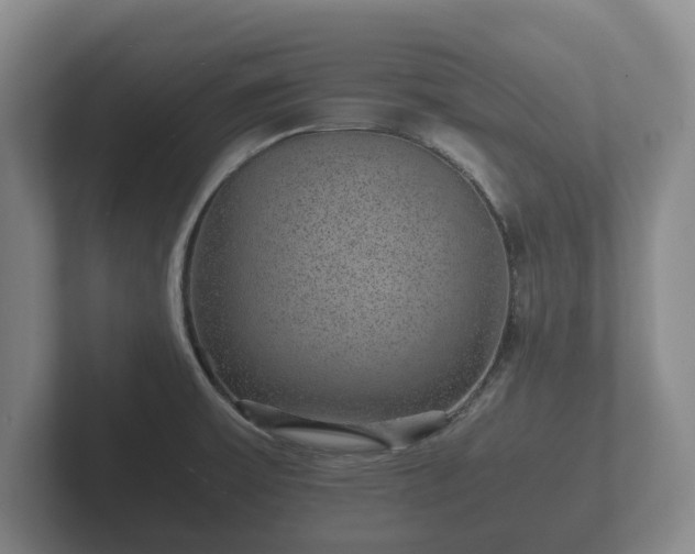 X0000102381475200808081127