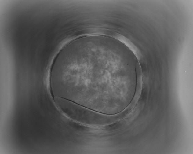X0000102381477200808081127