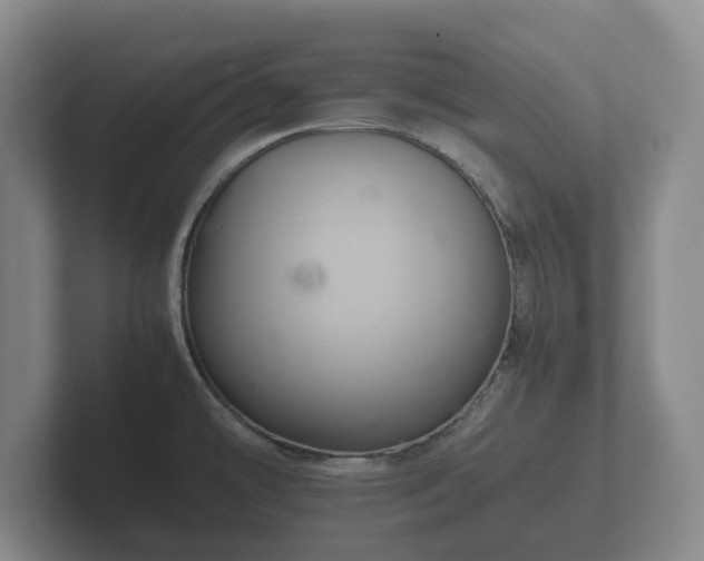 X0000102381478200808081127