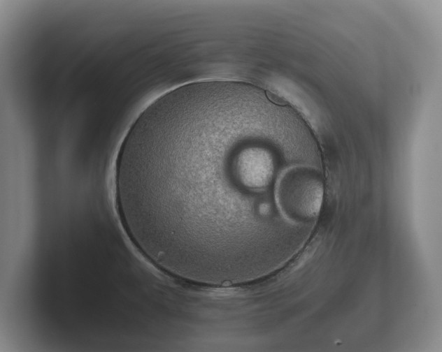 X0000102381479200808081127