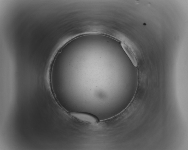 X0000102381480200808081127