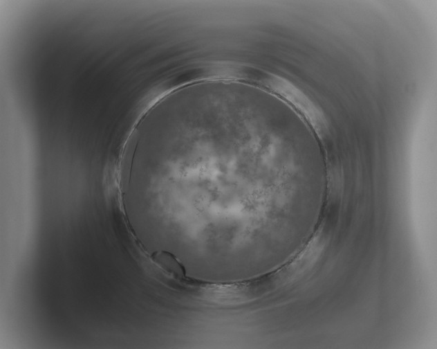 X0000102381481200808081127