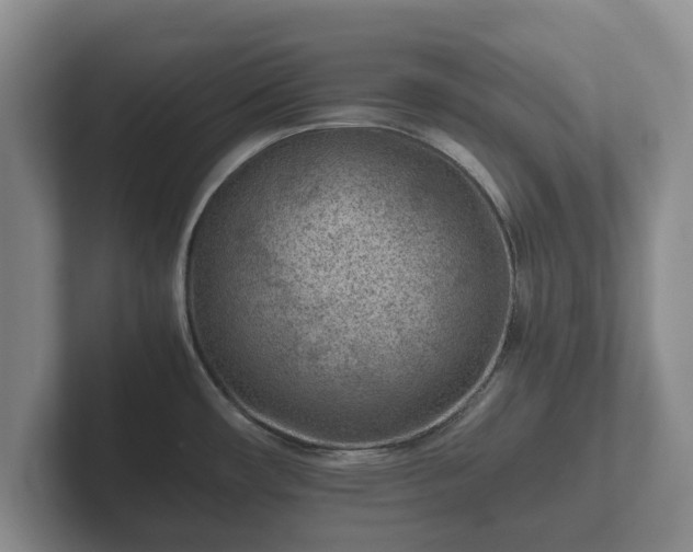 X0000102381482200808081127