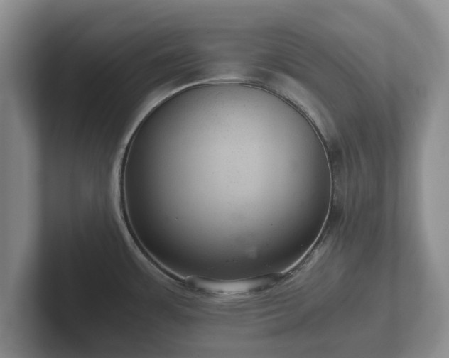 X0000102381483200808081127