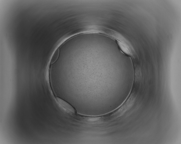 X0000102381484200808081127