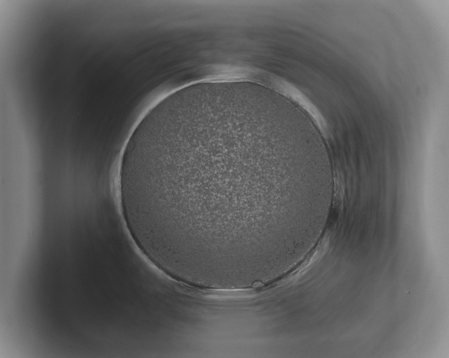X0000102381487200808081127