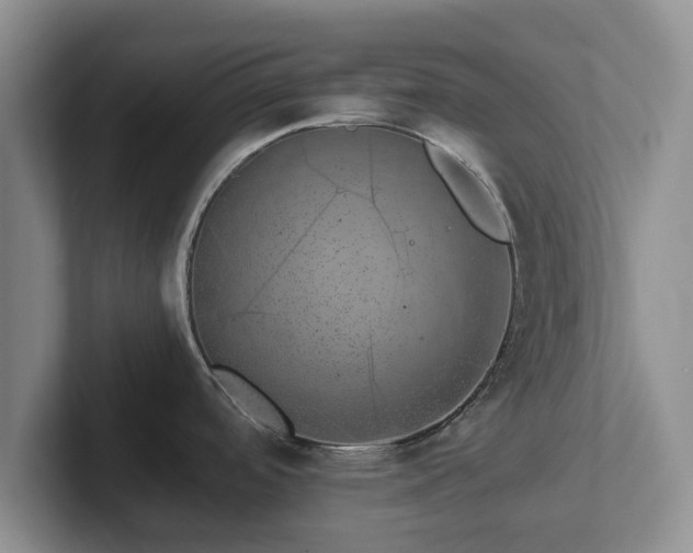 X0000102381488200808081127