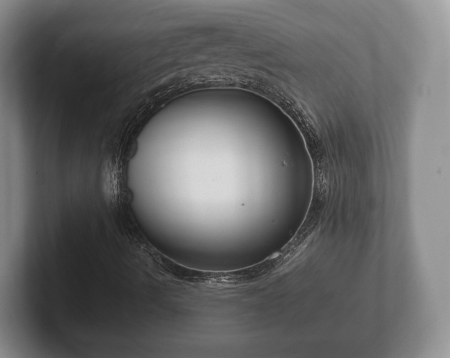 X0000102381490200808081126