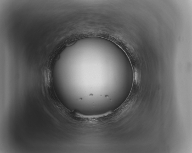 X0000102381492200808081126