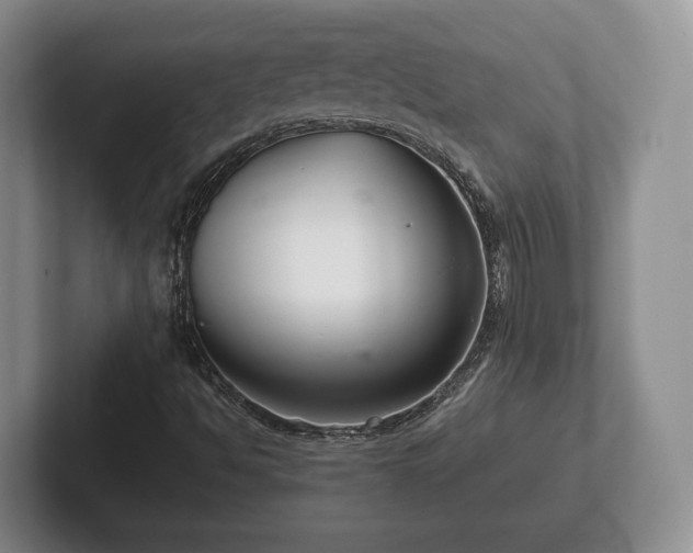 X0000102381494200808081126