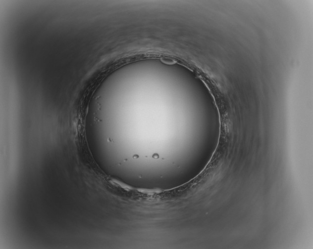 X0000102381495200808081126