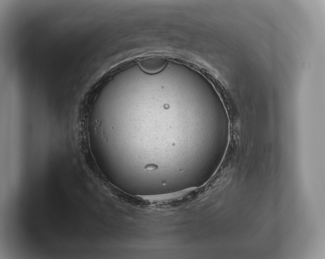 X0000102381496200808081126