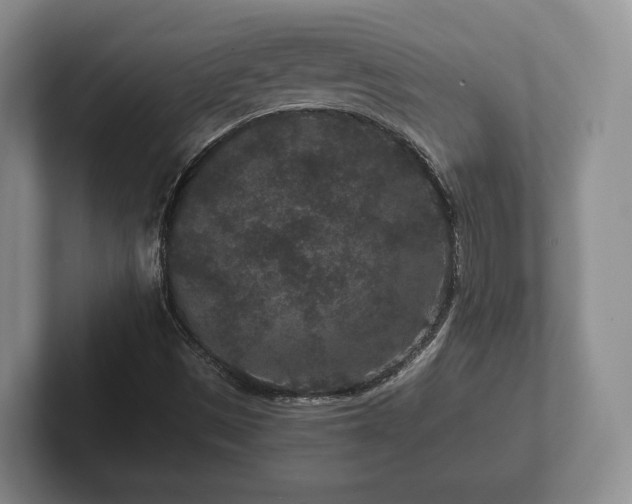 X0000102381497200808081126