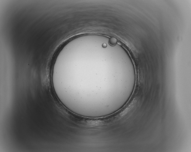 X0000102381498200808081126
