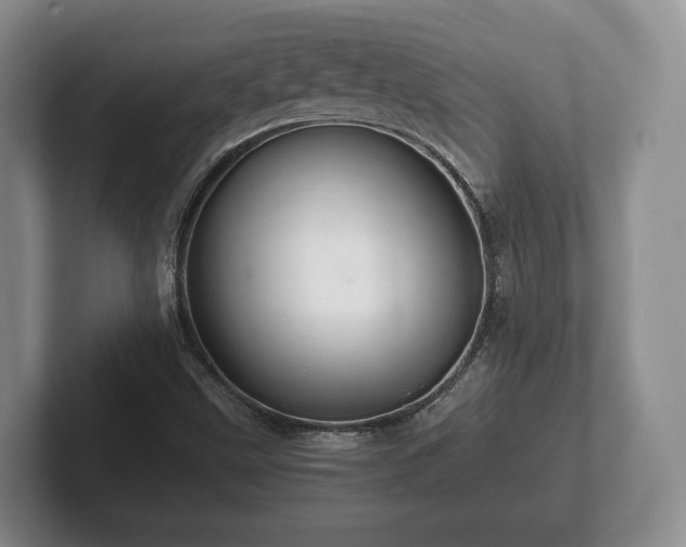 X0000102381499200808081126