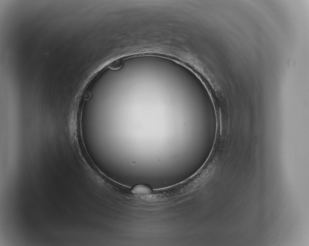 X0000102381500200808081126