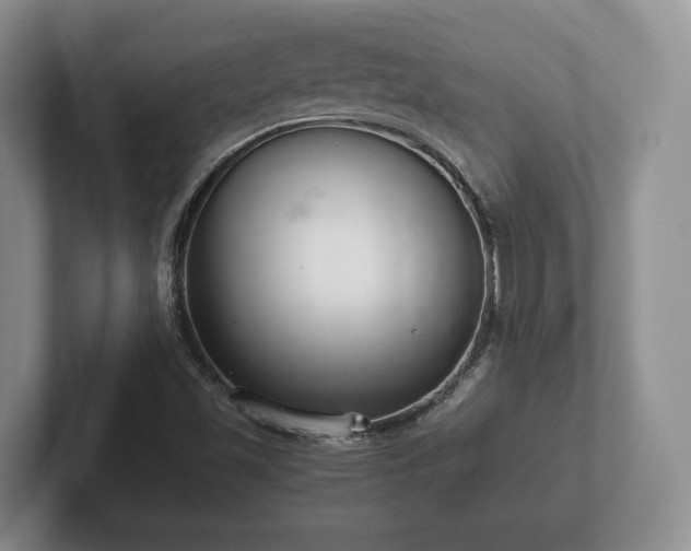 X0000102381501200808081126