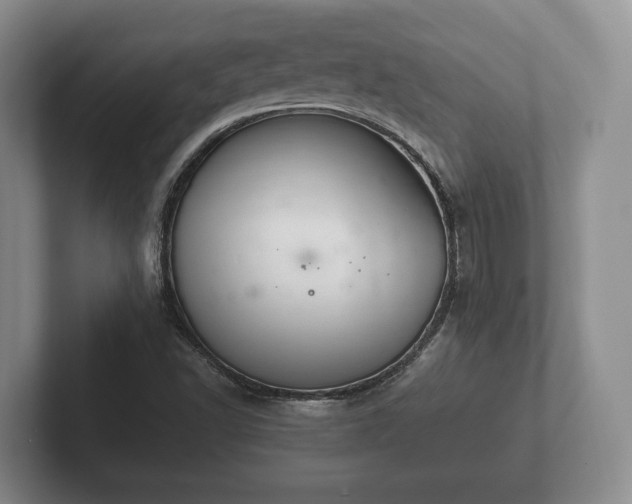X0000102381502200808081126