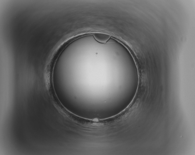 X0000102381503200808081126