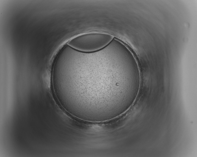 X0000102381504200808081126