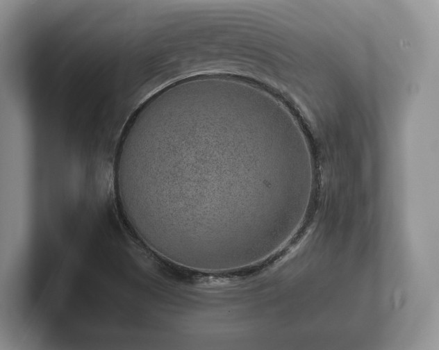X0000102381505200808081126