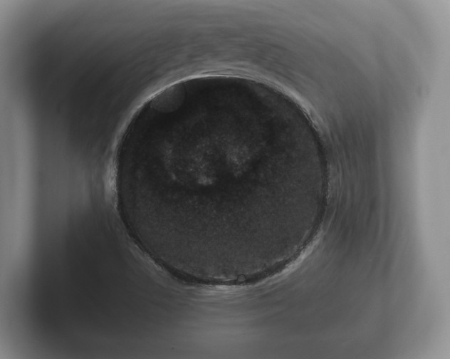 X0000102381506200808081127