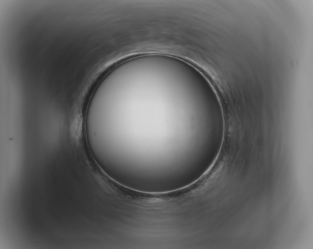 X0000102381507200808081127