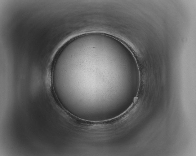 X0000102381510200808081127