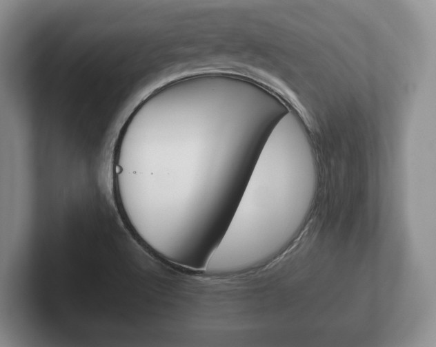 X0000102381512200808081127