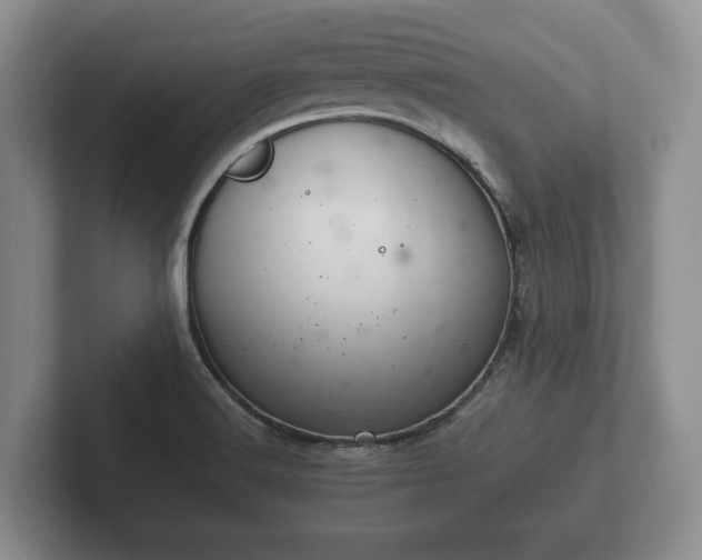 X0000102381516200808081127