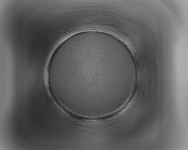 X0000102381517200808081127
