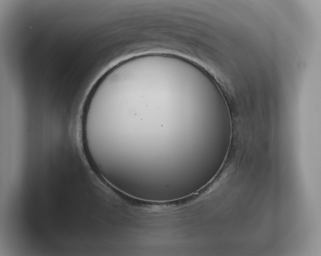 X0000102381518200808081127