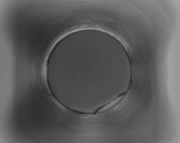 X0000102381519200808081127