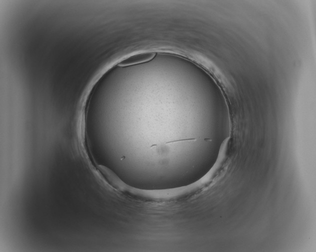 X0000102381520200808081127