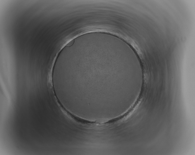 X0000102381521200808081127