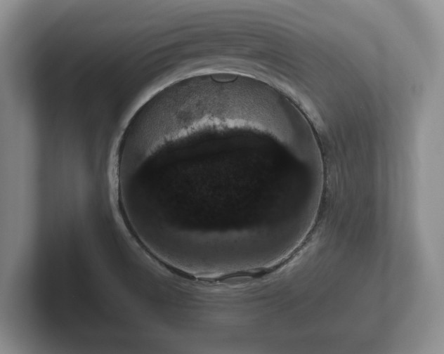 X0000102381522200808081127