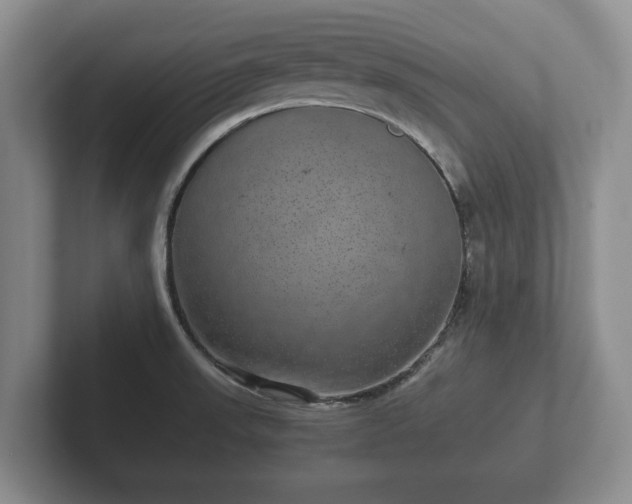 X0000102381523200808081127
