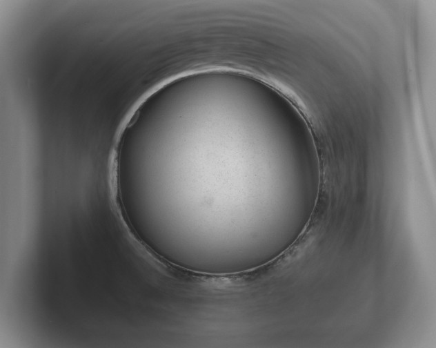 X0000102381524200808081127