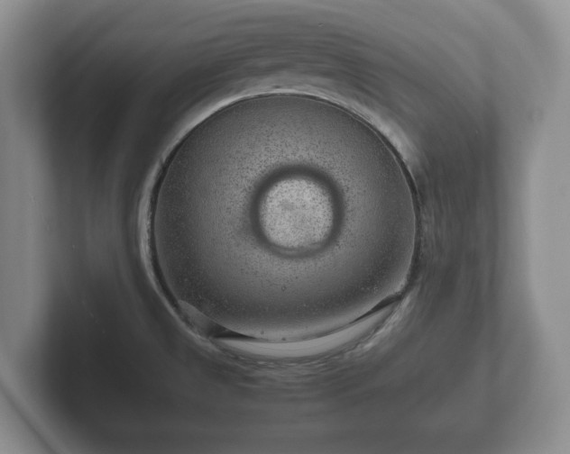 X0000102381525200808081127