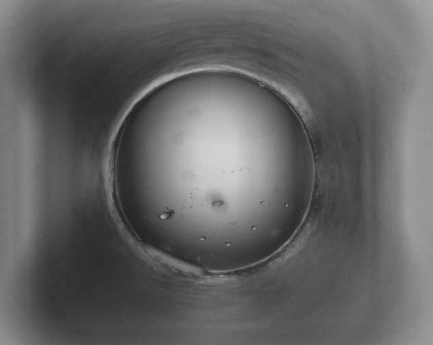 X0000102381526200808081127