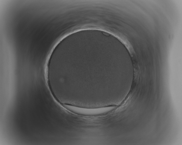 X0000102381527200808081127